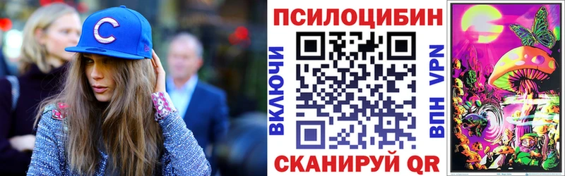 Псилоцибиновые грибы Psilocybe  Кодинск 